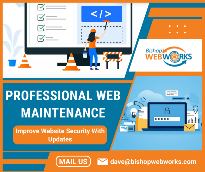 Proactive Solutions for Web Security