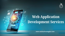 Web app Development Company
