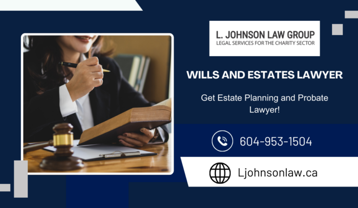 Professional Probate Law Services