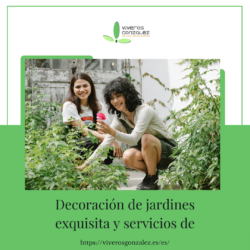 Plantas Resistentes Al Frío
