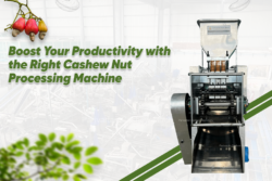 Boost Your Productivity with the Right Cashew Nut Processing Machine