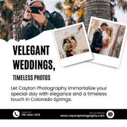 Colorado Springs Wedding