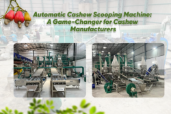 Automatic Cashew Scooping Machine: A Game-Changer for Cashew Manufacturers