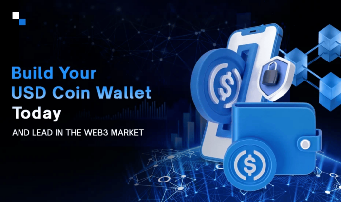 How to Evaluate the Development Cost & Create A USD Coin Wallet?