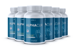 AlphaCur (2025 Easter Sale) Get Relief from Nerve Pain and Discomfort Issues
