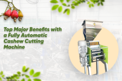Top Major Benefits with a Fully Automatic Cashew Cutting Machine