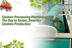 Cashew Processing Machinery: The Key to Faster, Smarter Cashew Production
