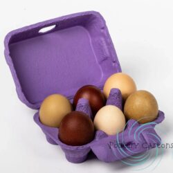 The Unsung Hero of the Kitchen: Egg Cartons