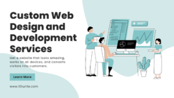 Custom Web Design and Development Services