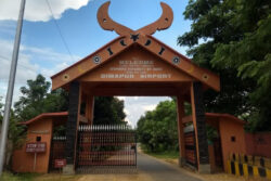 Guwahati To Dimapur Taxi Fare