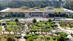 BIM and LEED Certification: A Look into the California Academy of Sciences 🌱