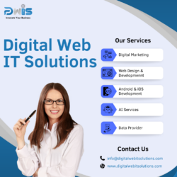 Digital Web IT Solutions Boosts Your Online Visibility with Expert Solutions