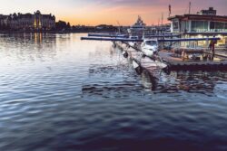 Bought or Sold a Boat? Transfer Your Pleasure Craft Licence With Ease