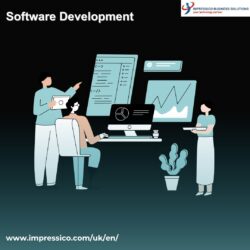 Software Application Developer
