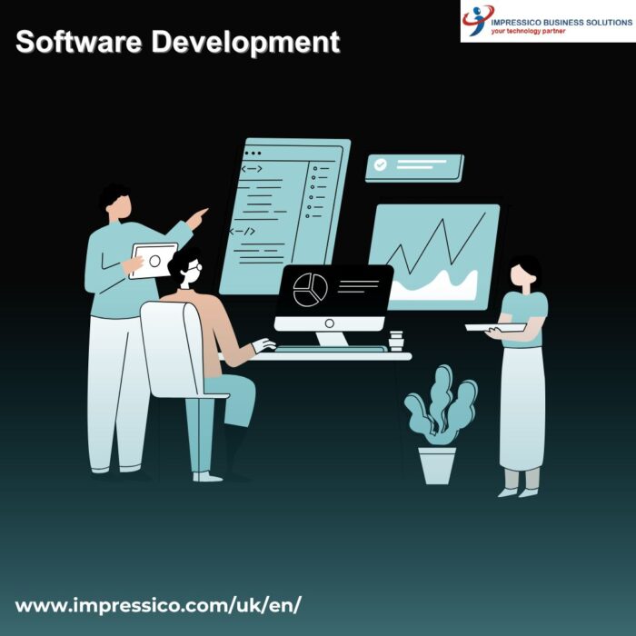Software Application Developer