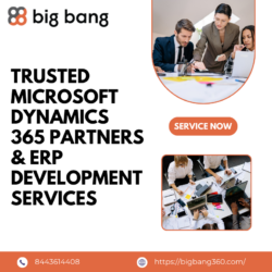 Trusted Microsoft Dynamics 365 Partners & ERP Development Services