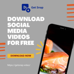 All-in-One Video Downloader