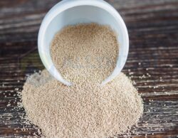 Yeast Powder