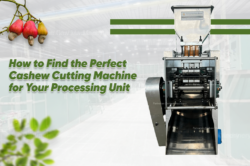 How to Find the Perfect Cashew Cutting Machine for Your Processing Unit