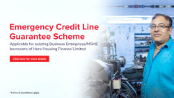 Emergency Credit Line Scheme for MSME Borrowers