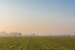 Secure Managed Farmland Near Bangalore Investment