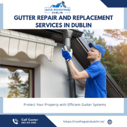 Roof Cleaning Dublin
