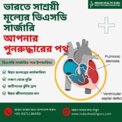 ভারতে সাশ্রয়ী মূল্যের ভিএসডি সার্জারি: আপনার আরোগ্যের পথ