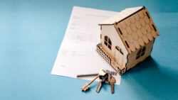 Understanding Society Patta vs JDA Land Ownership