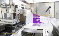 Adult Briefs Factory