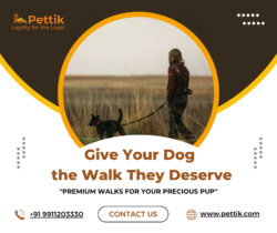 🐾 Everything Your Pet Needs – All in One Place! 🐶🐱