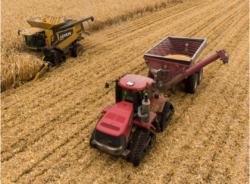 Kirkham Insurance for Farm Insurance Lethbridge