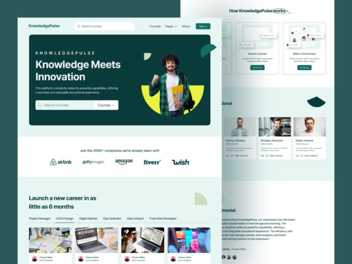 Best eLearning Web Design Company for Virtual Classrooms and Online Learning