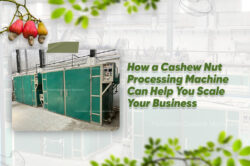How a Cashew Nut Processing Machine Can Help You Scale Your Business