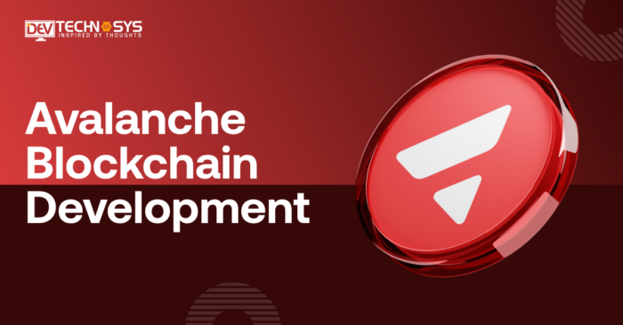 Avalanche Blockchain Development: Everything You Need to Know