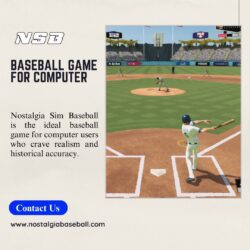 Baseball Game for Computer