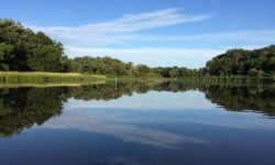 Paving Services Schaumburg