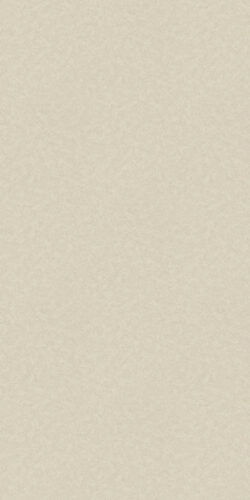W240147 1200W Concrete Look SPC Wall Panel Matte Finish