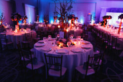 Exceptional Event and Expo Catering Services Dubai