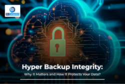 Understanding Hyper Backup Integrity Checks