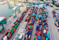 Why Neal Elbaum’s Logistics Services Stand Out in a Crowded Market