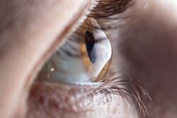 Trusted LASIK Eye Surgery in the UK | Harleyvision Specialists