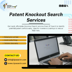Patent Knockout Search Services | IIP Search