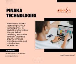 Expert Digital Marketing Consulting Services