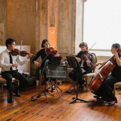 Elegant String Quartet for Events String Musicians Australia