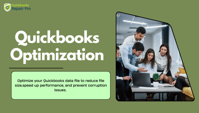 QuickBooks Optimization: Improve Performance, Speed, and Stability by Reducing File Size