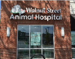 Elite Custom Signs – Premium Custom Signs for Business in Raleigh