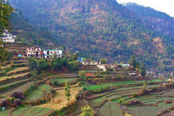 Chandigarh To Solan Taxi