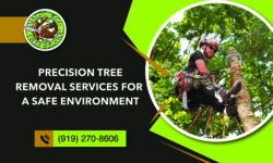 Get Rid of Unwanted Trees with Expert Removal Services