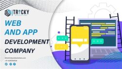 Smart Web and App Development Company