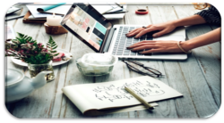 Web Designing Service Dinanagar